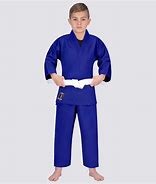 Image result for Blue Karate Gi