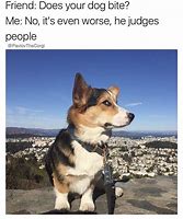 Image result for Wholesome Corgi Memes