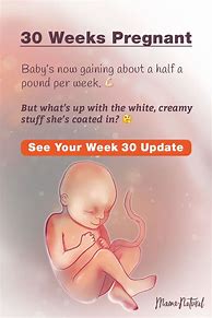 Image result for 30 Weeks Pregnancy Guide