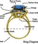 Image result for Parts of a Ring Case
