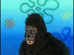 Image result for Real Gorilla Spongebob