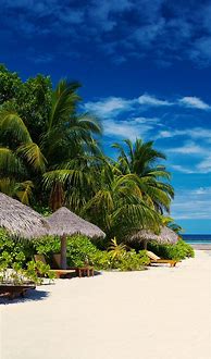 Image result for iPhone Wallpaper Tropical Beach Walk