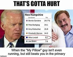 Image result for Mike Lindell Drone Memes
