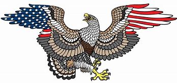 Image result for American Flag Eagle Wings