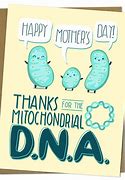 Image result for DNA Rizz Meme