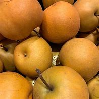 Image result for Pyrus pyrifolia Kosui