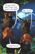 Image result for Funny Bat Jokes