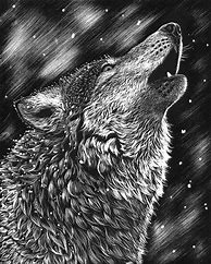 Image result for Wolf Scratch Art