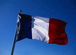 Image result for French National Flag