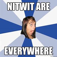 Image result for Nitwit Memes