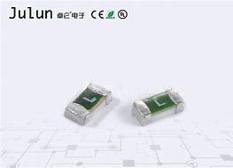Image result for Circuit Board Mounted Fuses