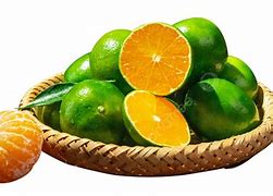 Image result for Green Orange Fruit Image JPEG Download
