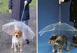 Image result for Weird Umbrellas