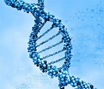 Image result for Human Genome