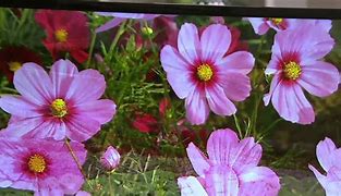 Image result for 00T089agma01 Magnavox TV