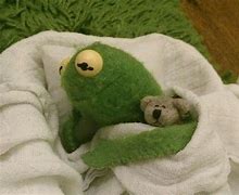 Image result for Sad Kermit Meme Mug