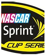 Image result for NASCAR Sprint Cup Series Logo Custom