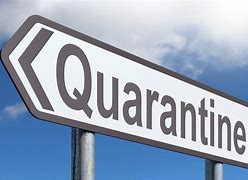 Image result for Quarantine Lock Down