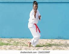 Image result for Martial Arts African America