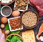 Image result for Dietary Sources of Protein