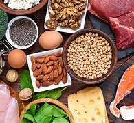 Image result for Protein Sources