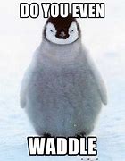 Image result for Angry Penguin Même