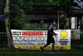 Image result for Dengue Recent News