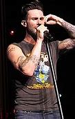 Image result for Adam Levine Voice