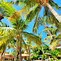 Image result for Royal Caribbean Coco Cay Cabanas