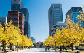 Image result for Fall in Tokyo