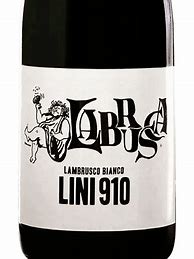 Image result for Lini 910 Lambrusco Bianco Labrusca