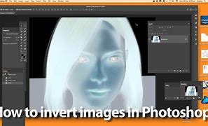 Image result for Background Color in Reverse