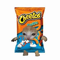 Image result for Cat Eating Cheetos Meme