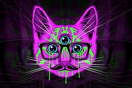 Image result for Trippy Cat High Wallpaper