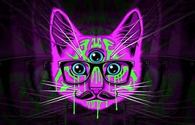 Image result for Trippy Cat High Wallpaper