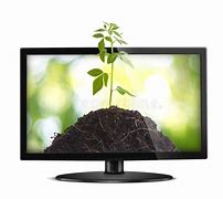 Image result for Television in a Tree