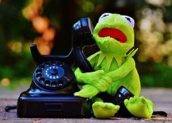 Image result for Samsung Phone Cases for Frogs