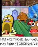 Image result for Vine What Are Those Meme