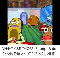 Image result for What Are Those Spongebob Vine
