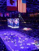 Image result for Tampa Bay Lightning Thunderdome