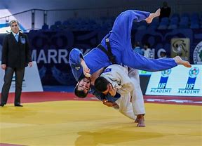 Image result for judo