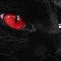 Image result for Scary Black Cat Eyes