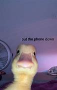 Image result for Funny Meme Phone Wallpapers