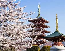 Image result for Cool Places in Tokyo