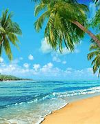 Image result for Summer Backdrops for Photography