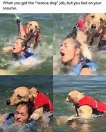 Image result for Rescue We Are Full Meme