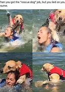 Image result for Search and Rescue Memes