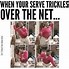 Image result for Volleyball Jokes