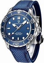 Image result for Pagani Design Diver Watches