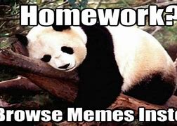 Image result for homework memes